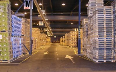 Pallet Handling Safety Tips & Training